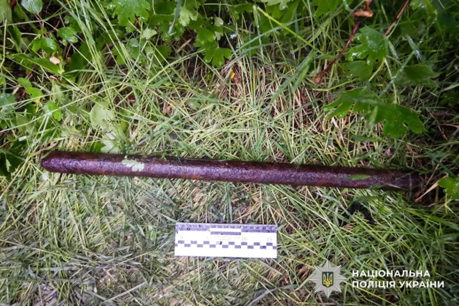 Трагедія у Миколаївському районі: військовослужбовець забив до смерті свого побратима