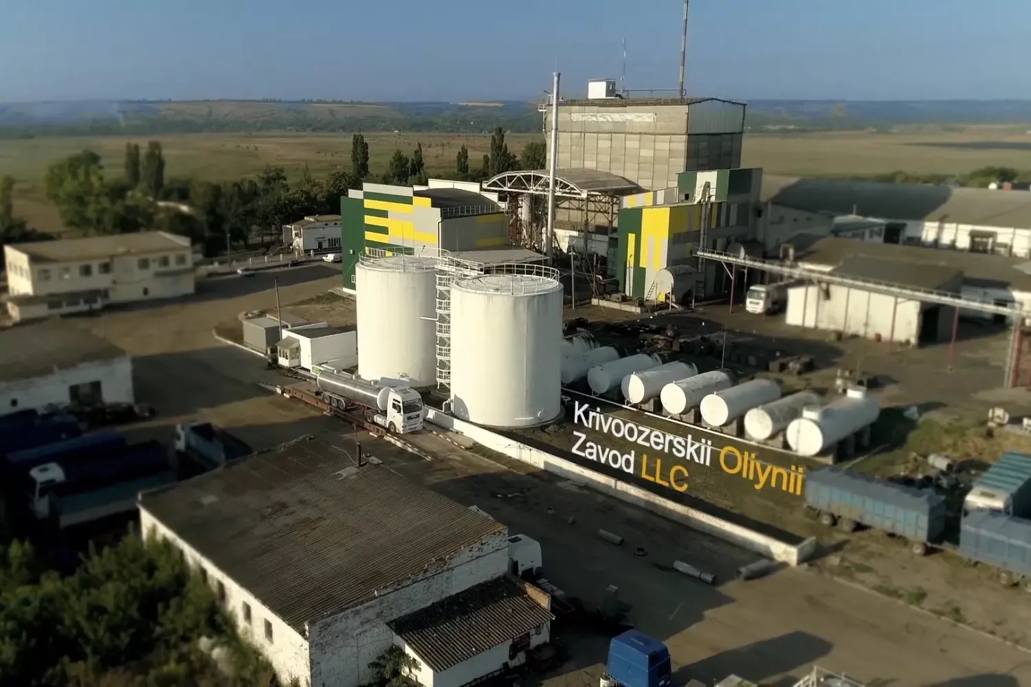 На Миколаївщині суттєво розширять переробку соняшнику та ріпаку: деталі масштабного проєкту